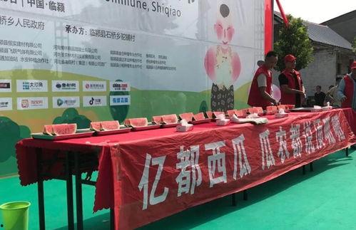吃瓜爆料每日大赛最新动态 小说免费阅读,小说免费阅读带你揭秘幕后真相