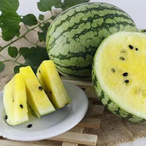 吃瓜黑料精品一区,独家爆料，真相大白